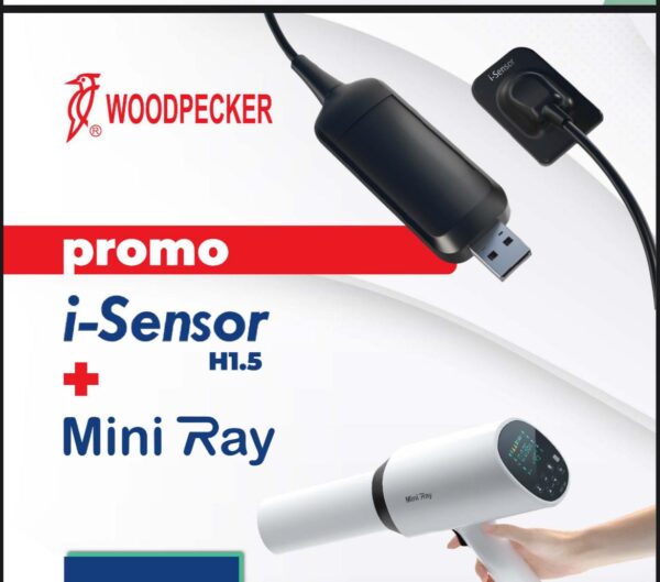 I-SENSOR + MINI RAY WOODPECKER