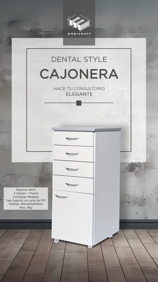MUEBLE RODANTE CAJONERA